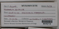 Image Associated With the Occurence